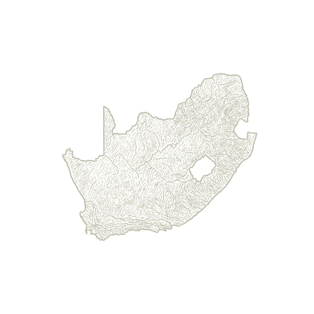 Zuid-Afrika Wijnen Vini Mondiale